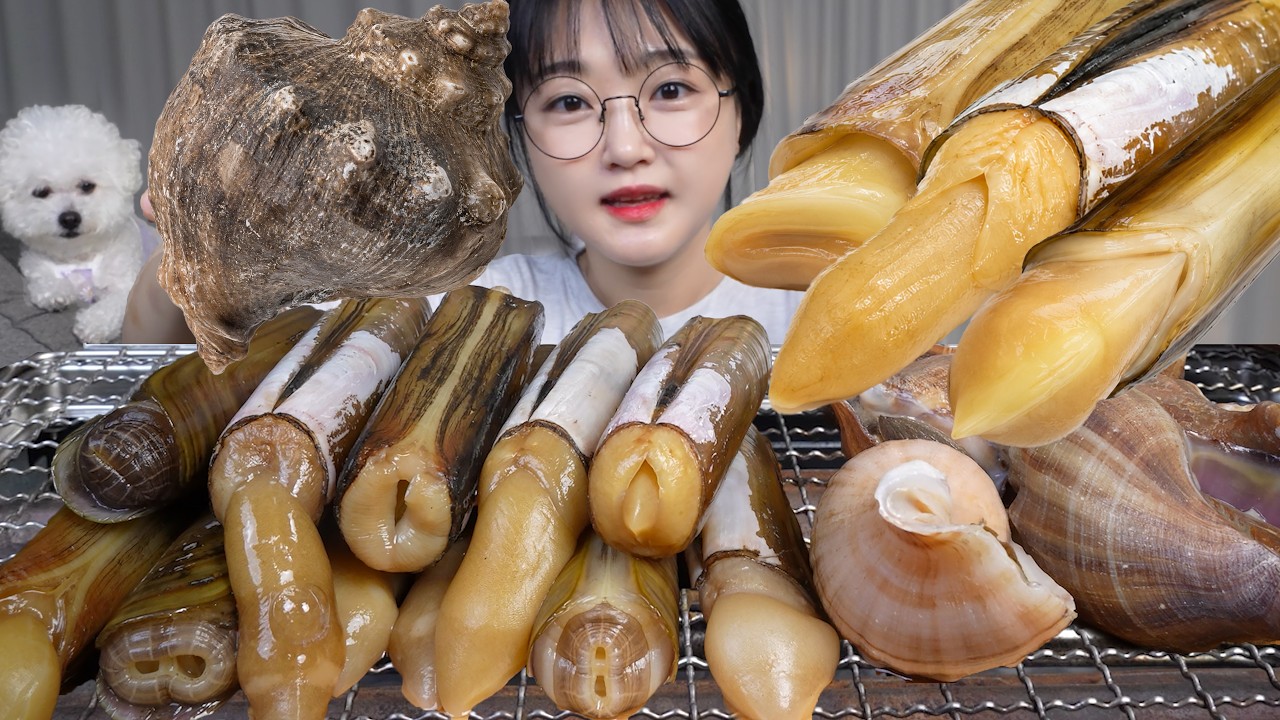 탱글탱글 대맛조개 & 쫄깃한 소라구이 먹방🔥조개구이는 못 참지 Grilled Shellfish Mukbang ASMR