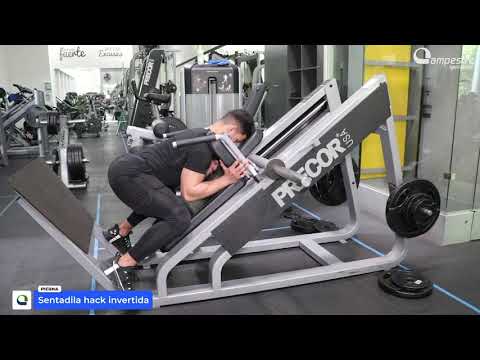 Hack Squat Invertido (Reverse Hack para Glúteo e Isquios)