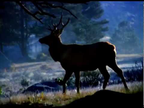 BORJOMI mineral water