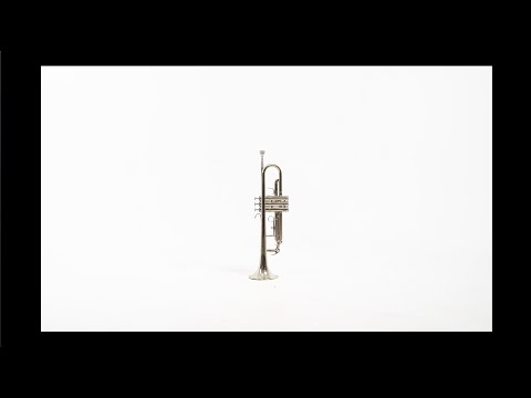 SHELY210 FT. VINNY - MHMM (Prodby 808antho)