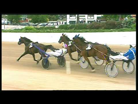 Trotto 29/05/2020 - 10ª corsa