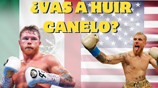 Jake Paul enfrenta CANELO en un lujoso restaurante y termina HUMILLADO Lo que pasó te dejará HELADO