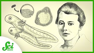 Hilde Mangold and the Organizer of Life | Great Minds