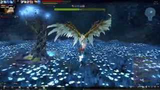 레지나 헤기 솔로