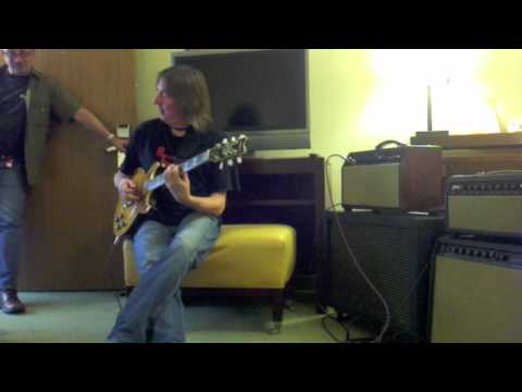 Handwired Indigo Amplification 50 Watt McD Tube 1x12 Combo (Dumblesque) image 22