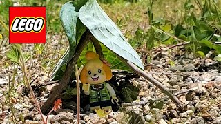 Playing LEGO Animal Crossing outside. Frist time survival. どうぶつの森レゴ　初めてのサバイバル