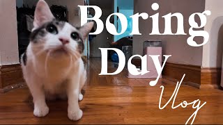 VLOG✨Morning স্কিন Care | Momoএর Playtime | আদিবের Cooking #dailyvlogs