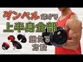 【初心者向け】家でもできる週一回、ダンベルだけで上半身をムキムキに鍛える方法!