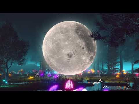 Tyler Loyal - Between Us (Official Audio)