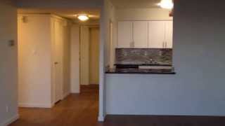 preview picture of video '55 West Fifth Apartments - San Mateo, CA - 1 Bedroom'