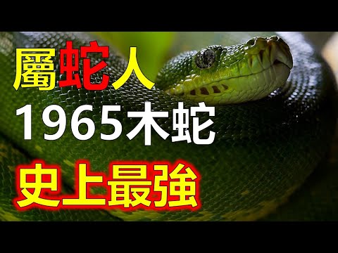 乙巳年五行