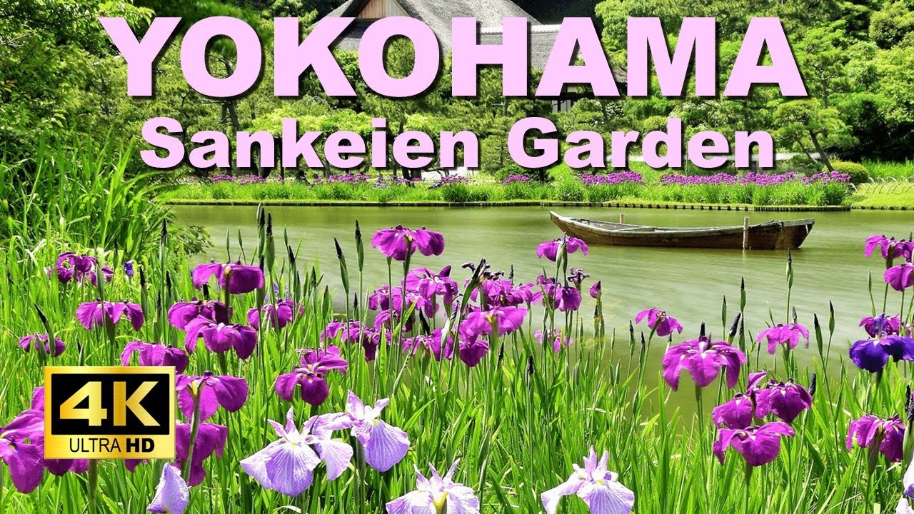 Embark on an enchanting walking tour through the Sankeien Garden.