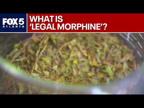Concerns over 'legal  morphine' | FOX 5 News