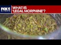 Concerns Over Legal Morphine FOX 5 News