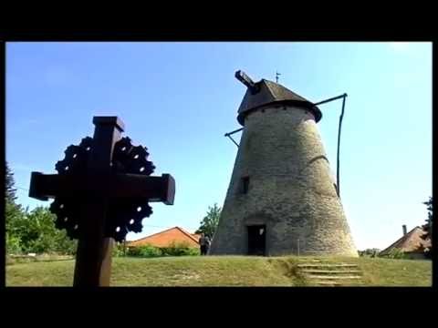 Halas Tv - Híradó - 2016.07.08. (péntek) - Kiskunhalas