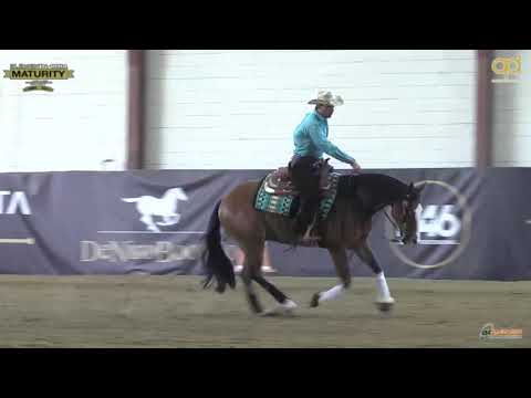 Maturity 2021 - ANDREA PEDROTTI & HA WHIZZING SPARK score 216