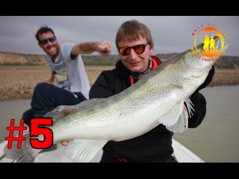 Spin fishing for catfish and zander | Fishing on the Rio Ebro #5 | hechtundbarsch.de