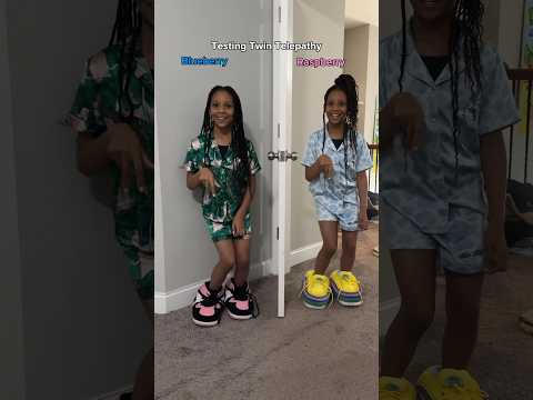 Twin Telepathy Raspberry vs. Blueberry 😱 #shorts #twintelepathychallenge #twintelepathy