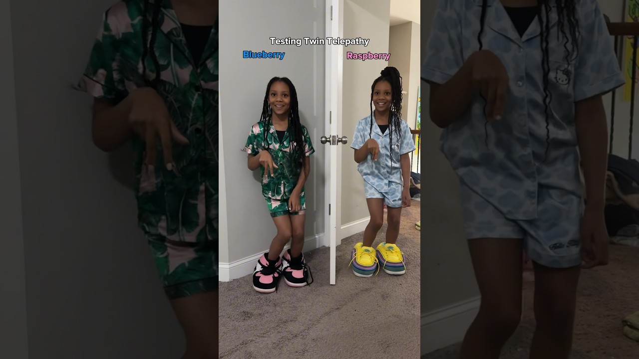 Twin Telepathy Raspberry vs. Blueberry 😱 #shorts #twintelepathychallenge #twintelepathy