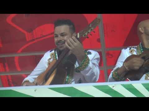 Mancha Verde: Desfile Oficial - Carnaval 2019 - SRzd