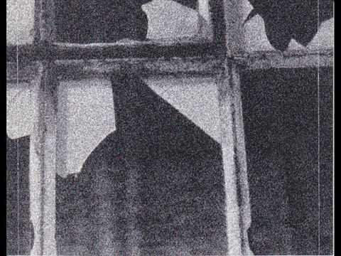 Vidna Obmana - Bemused Amphibian