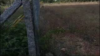 🙏14 gunte agriculture farm landa for sale malavalli near 🙏