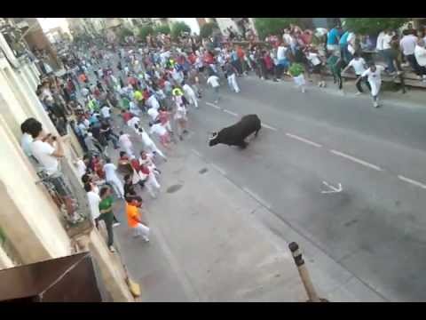 Toro rompe cuerda, San Miguel - rincón de soto