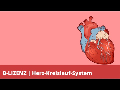 B-Lizenz | Herz-Kreislauf-System