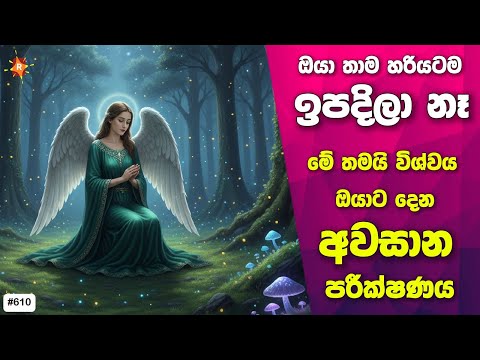 මේක තමයි ඔයාට විශ්වය දෙන අවසාන පරීක්ෂණය. ඔයාගේ ජිවිතයම යටිකුරු වෙනවා නියතයි. ඔයා ගොඩක්  වාසනාවන්තයි.