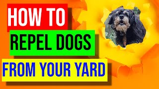 How to Repel Dogs From Your Yard