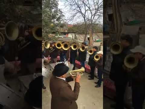 Costel Șarambel  Fanfara Valea Mare