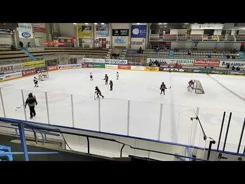 Jokipo valkoinen - Hokki1