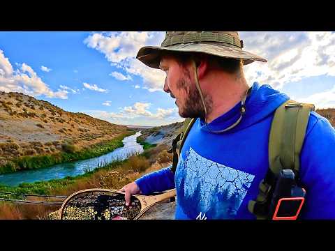 Trout Fishing a REMOTE Desert Creek!!!