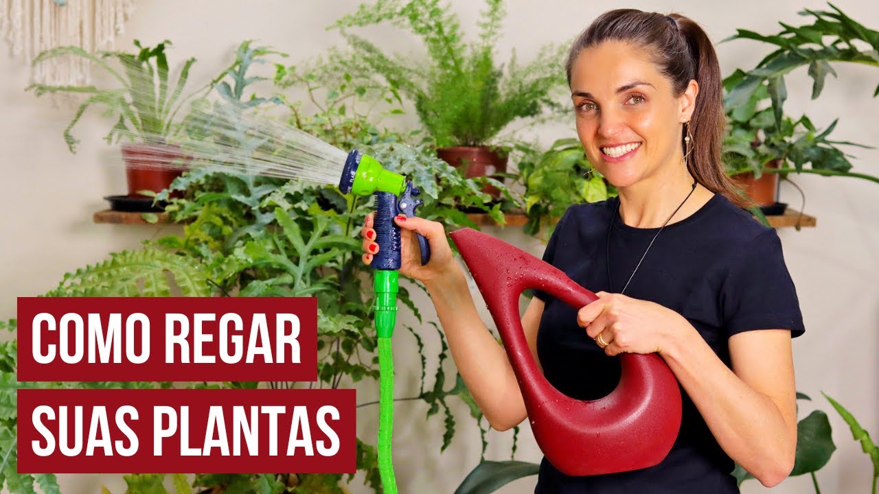 COMO REGAR suas PLANTAS 💦🌿 APRENDA de UMA vez por TODAS