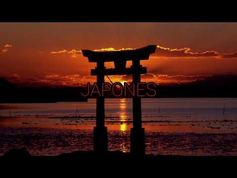 JAPONES - Grupo Ampper