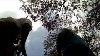 Twin Stars of Sun Ra