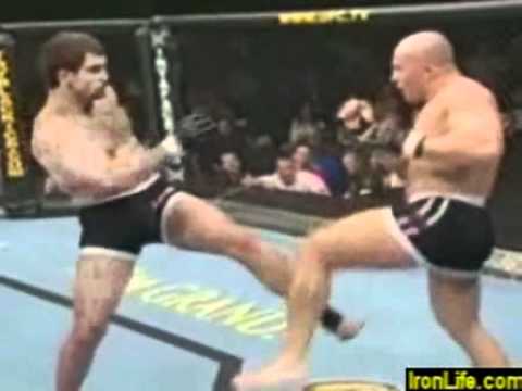 andrei arlovski highlight