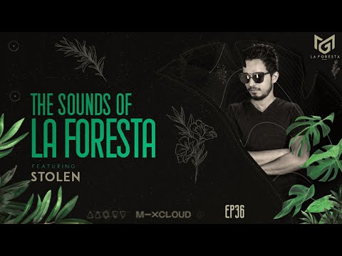 THE SOUNDS OF LA FORESTA EP36 - STOLEN
