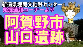 新潟県埋蔵文化財センター 発掘速報コーナーより 阿賀野市山口遺跡
