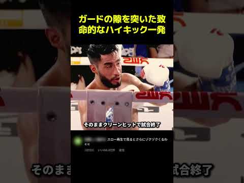 ガードの隙を突いた致命的なハイキック一発