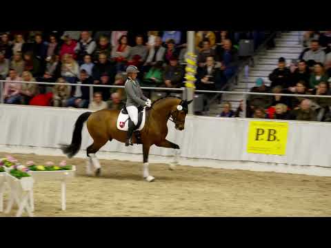 07 Freigeist und 09 Fifty Fifty_PB Schau Verden 2023