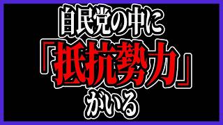 【暴露】自民党の中に抵抗勢力がいる。国民民主・榛葉賀津也が新橋で語った"減税を阻む敵"の正体