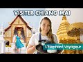 VISITER CHIANG MAI EN 2024 : que faire en 3 - 4 jours ? (vlog Chiang Mai Thaïlande)