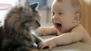 CAN you HANDLE these ULTRA FUNNY kids and animals? - Funny KIDS &amp; ANIMALS compilation
