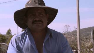 preview picture of video 'El Mezcal Tepenene Spot 1'
