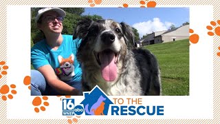 16 To The Rescue: Phillip