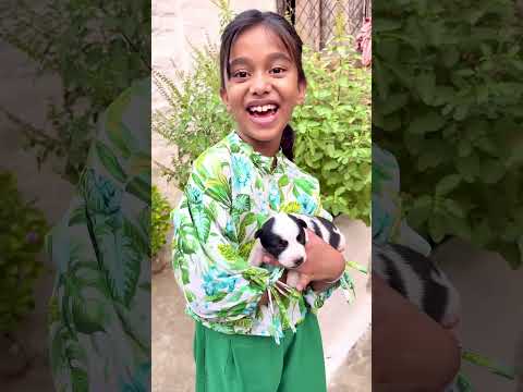 Amaira Ko mila puppy￼ #short #thegeetagurjar