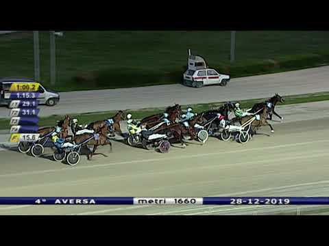 Aversa trotto 28 Dicembre 2019 - 4° Corsa
