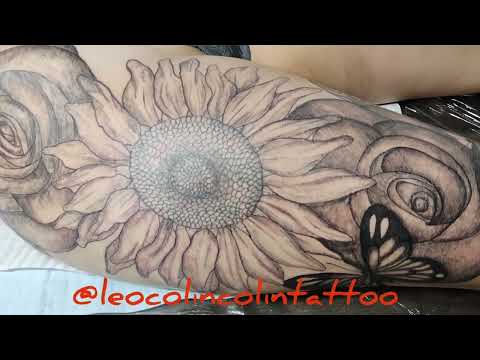 linda tatuagem de borboleta com girassol whip shading Leo Colin tattoo floral