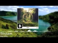 Tristam-The Vine [Preview] 